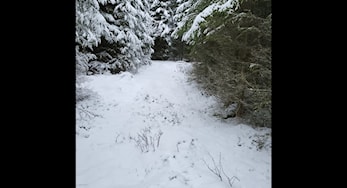 Østfold Vintercup løp 5